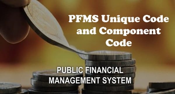 PFMS Unique Code and Component Code: What They Mean